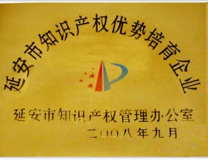 延安市知識(shí)產(chǎn)權(quán)優(yōu)勢(shì)培育企業(yè)